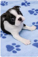 processed/9fcb1704-5ce3-444f-91d4-d5d4959be2e8/listing/43fe0535-ce31-4051-a1a3-32bf27b07f37/0fc9d06a-5193-473f-bd85-ec9df2a86618