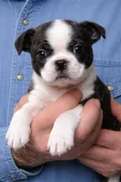 processed/9fcb1704-5ce3-444f-91d4-d5d4959be2e8/listing/43fe0535-ce31-4051-a1a3-32bf27b07f37/68776f44-1bf1-448f-81ff-a2641a97144d