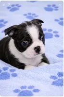 processed/9fcb1704-5ce3-444f-91d4-d5d4959be2e8/listing/43fe0535-ce31-4051-a1a3-32bf27b07f37/95edce67-c87f-4442-8bbd-edd63cfb9508