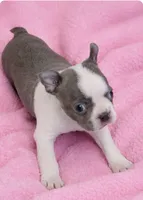 processed/9fcb1704-5ce3-444f-91d4-d5d4959be2e8/listing/7ac6d539-2b44-48d7-a4a7-07501bf6ce30/1999bebc-e7bd-4b73-a424-7298a2679c8e