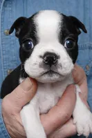 processed/9fcb1704-5ce3-444f-91d4-d5d4959be2e8/listing/d266f7f2-2ab8-467f-80f3-4bde77fbc6ae/024d7e68-33c4-430a-bcc3-94f6a714c64c