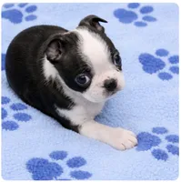 processed/9fcb1704-5ce3-444f-91d4-d5d4959be2e8/listing/d266f7f2-2ab8-467f-80f3-4bde77fbc6ae/2ee472f0-4538-40aa-bfbf-43c29a72124c