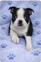 processed/9fcb1704-5ce3-444f-91d4-d5d4959be2e8/listing/d266f7f2-2ab8-467f-80f3-4bde77fbc6ae/6c160f38-7c6c-4acb-9acd-9e778f047468