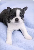 processed/9fcb1704-5ce3-444f-91d4-d5d4959be2e8/listing/e739372b-b777-4dc7-bde4-d51edd368dc6/40440a0b-7ec0-4470-9e91-d70fc0ab2815