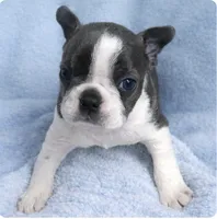 processed/9fcb1704-5ce3-444f-91d4-d5d4959be2e8/listing/e739372b-b777-4dc7-bde4-d51edd368dc6/b8c40447-6591-4c3f-910a-32d31c496c9a