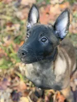 processed/9fd414ae-c1c9-47ed-9e2f-f611dd54f08d/listing/6193463d-898e-41b4-b04a-973f79c49aed/31b69958-2158-4701-a2f1-64263d547820