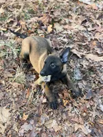 processed/9fd414ae-c1c9-47ed-9e2f-f611dd54f08d/listing/6193463d-898e-41b4-b04a-973f79c49aed/401c0d4b-881b-46cf-beb6-59c9e4cf7129