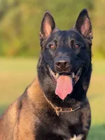 processed/9fd414ae-c1c9-47ed-9e2f-f611dd54f08d/listing/6193463d-898e-41b4-b04a-973f79c49aed/4beacaea-6f7e-4ef2-b807-34697f0bc55f