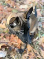 processed/9fd414ae-c1c9-47ed-9e2f-f611dd54f08d/listing/6193463d-898e-41b4-b04a-973f79c49aed/80b39138-2d34-4598-964d-d140c92dfc6d