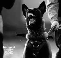 processed/9fd414ae-c1c9-47ed-9e2f-f611dd54f08d/listing/6193463d-898e-41b4-b04a-973f79c49aed/e8b5eadc-3881-4f66-93c8-c6c6f77b6825