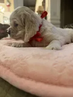 processed/9fd577f7-6abd-4951-921e-e631e95d281d/listing/83fc985d-1cce-45ae-8137-ed23a6dc2ba7/afcc0ccf-f995-45bf-9818-7e6b06ecb7bc