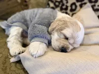 processed/9fd577f7-6abd-4951-921e-e631e95d281d/listing/83fc985d-1cce-45ae-8137-ed23a6dc2ba7/ed81aa72-b7f0-4f7f-90ee-e7517414f0e5