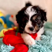 processed/9fd9b818-6e99-460c-a55d-b1e0cb128ea8/facility/07e81755-514f-402e-8f4a-aed35570144b