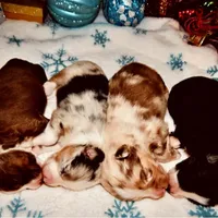 processed/9fd9b818-6e99-460c-a55d-b1e0cb128ea8/facility/3617774e-998d-4c2e-aefa-632c65773cdd