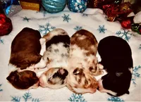 processed/9fd9b818-6e99-460c-a55d-b1e0cb128ea8/facility/3617774e-998d-4c2e-aefa-632c65773cdd