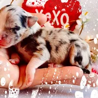 processed/9fd9b818-6e99-460c-a55d-b1e0cb128ea8/facility/59bd5aa2-8050-441e-91e5-d954ec9fcbf7