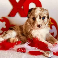 processed/9fd9b818-6e99-460c-a55d-b1e0cb128ea8/facility/6d44b7a7-fa5d-4bc4-9b35-bf07a1c8761b