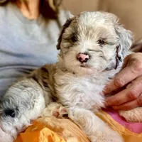 processed/9fd9b818-6e99-460c-a55d-b1e0cb128ea8/facility/895194d6-e9a1-4d17-b159-bfcc095e82ef