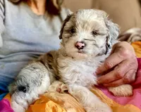 processed/9fd9b818-6e99-460c-a55d-b1e0cb128ea8/facility/895194d6-e9a1-4d17-b159-bfcc095e82ef