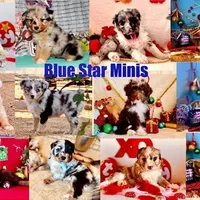 processed/9fd9b818-6e99-460c-a55d-b1e0cb128ea8/facility/c1732390-f0d4-43e6-ac7c-5c0456235f15