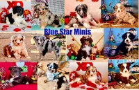 processed/9fd9b818-6e99-460c-a55d-b1e0cb128ea8/facility/c1732390-f0d4-43e6-ac7c-5c0456235f15