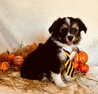 processed/9fd9b818-6e99-460c-a55d-b1e0cb128ea8/facility/cc575257-a337-47fe-8881-333dac81694d