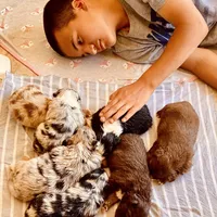 processed/9fd9b818-6e99-460c-a55d-b1e0cb128ea8/facility/e1efa876-fc2a-4504-b11b-709c18438462