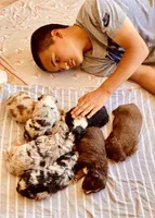 processed/9fd9b818-6e99-460c-a55d-b1e0cb128ea8/facility/e1efa876-fc2a-4504-b11b-709c18438462