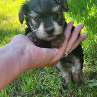 processed/9fdf5d90-2887-460a-a174-757ce9d3b283/facility/0e636912-fb31-4fcc-be67-743b99ea4e7b