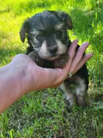 processed/9fdf5d90-2887-460a-a174-757ce9d3b283/facility/0e636912-fb31-4fcc-be67-743b99ea4e7b