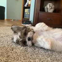 processed/9fdf5d90-2887-460a-a174-757ce9d3b283/facility/12c2d8c3-ee16-4e79-afab-8f11acb9767d