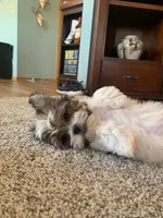 processed/9fdf5d90-2887-460a-a174-757ce9d3b283/facility/12c2d8c3-ee16-4e79-afab-8f11acb9767d