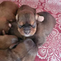 processed/9fdf5d90-2887-460a-a174-757ce9d3b283/facility/1a01981f-8d28-4db4-ad48-60878b227857