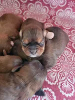 processed/9fdf5d90-2887-460a-a174-757ce9d3b283/facility/1a01981f-8d28-4db4-ad48-60878b227857