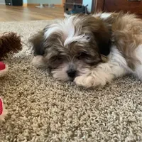 processed/9fdf5d90-2887-460a-a174-757ce9d3b283/facility/85cc92eb-954e-4c42-8564-36000aa42295