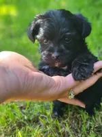 processed/9fdf5d90-2887-460a-a174-757ce9d3b283/facility/a1d52833-87de-4468-9613-6a0d1a4a84f4