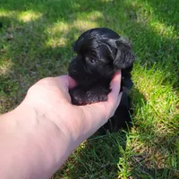 processed/9fdf5d90-2887-460a-a174-757ce9d3b283/facility/c1bc8c4c-7c56-4be3-a1de-c230043597ee