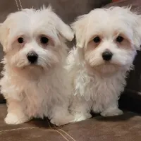 processed/9fdf5d90-2887-460a-a174-757ce9d3b283/facility/da046464-d1b1-4ec4-a1e4-7751c350ec26