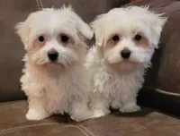 processed/9fdf5d90-2887-460a-a174-757ce9d3b283/facility/da046464-d1b1-4ec4-a1e4-7751c350ec26