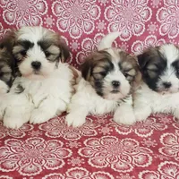 processed/9fdf5d90-2887-460a-a174-757ce9d3b283/facility/dfbe0676-66ce-4b32-8655-5b6f1399c627