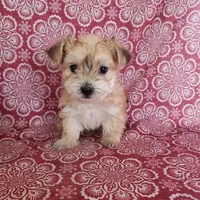 processed/9fdf5d90-2887-460a-a174-757ce9d3b283/facility/eec0563e-adb2-473a-9873-c3563c024e02