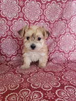 processed/9fdf5d90-2887-460a-a174-757ce9d3b283/facility/eec0563e-adb2-473a-9873-c3563c024e02