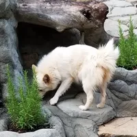 processed/9fe70d2c-6072-4679-928e-9f76a932822d/facility/0c158cb8-9bc4-4e31-8306-ef96e29cdc74