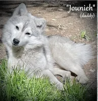 processed/9fe70d2c-6072-4679-928e-9f76a932822d/facility/1352249c-b9f2-49dc-a4b6-f62b08466590