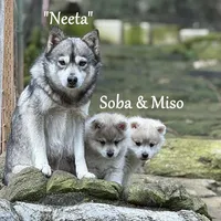 processed/9fe70d2c-6072-4679-928e-9f76a932822d/facility/456f7c28-9e35-4cb1-bd8f-88f7b39d9c0e