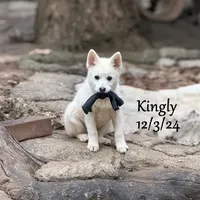 processed/9fe70d2c-6072-4679-928e-9f76a932822d/facility/57762f05-046e-4514-b8fa-e441610fdd12