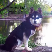 processed/9fe70d2c-6072-4679-928e-9f76a932822d/facility/5a888359-5b60-4e79-ba2e-01aa9fbd314f