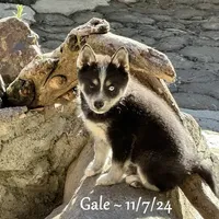 processed/9fe70d2c-6072-4679-928e-9f76a932822d/facility/7edc96d2-d12f-46a8-8753-cb60e46e7504