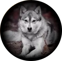 processed/9fe70d2c-6072-4679-928e-9f76a932822d/facility/c2758ba1-ffc8-464f-a495-7c6b5f9cc9df