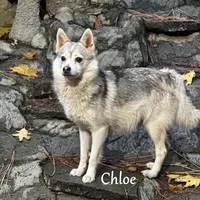 processed/9fe70d2c-6072-4679-928e-9f76a932822d/facility/d0e11816-fd51-469a-a56d-90f6c060953a